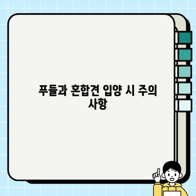 부천 무료 강아지 분양| 푸들 & 혼합견 찾기 | 입양 정보, 견종 특징, 주의 사항