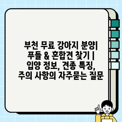 부천 무료 강아지 분양| 푸들 & 혼합견 찾기 | 입양 정보, 견종 특징, 주의 사항