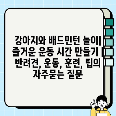 강아지와 배드민턴 놀이| 즐거운 운동 시간 만들기 | 반려견, 운동, 훈련, 팁