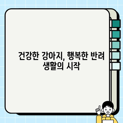 김포 아이조아에서 만난 안전한 강아지| 건강하고 행복한 반려 생활 시작하기 | 김포, 아이조아, 강아지 분양, 애견샵, 안전