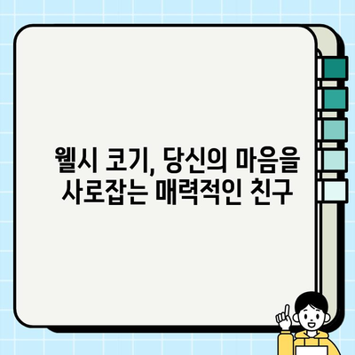 웰시 코기 매력에 푹 빠지다! 작은 몸집에 담긴 놀라운 매력 탐구 | 웰시 코기, 성격, 특징, 분양, 건강, 관리