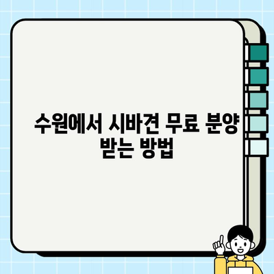 수원 시바견 무료 분양| 댕댕이 유기견 입양 센터 안내 | 시바견 입양, 수원 유기견 보호소, 무료 분양 정보