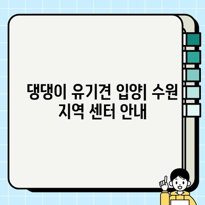 수원 시바견 무료 분양| 댕댕이 유기견 입양 센터 안내 | 시바견 입양, 수원 유기견 보호소, 무료 분양 정보