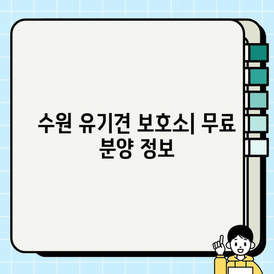 수원 시바견 무료 분양| 댕댕이 유기견 입양 센터 안내 | 시바견 입양, 수원 유기견 보호소, 무료 분양 정보