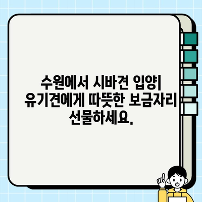 수원 시바견 무료 분양| 댕댕이 유기견 입양 센터 안내 | 시바견 입양, 수원 유기견 보호소, 무료 분양 정보