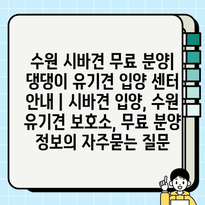 수원 시바견 무료 분양| 댕댕이 유기견 입양 센터 안내 | 시바견 입양, 수원 유기견 보호소, 무료 분양 정보