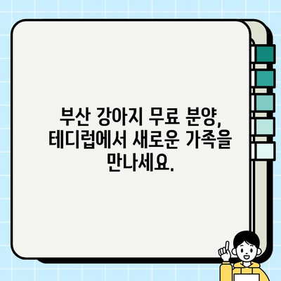 부산에서 테디베어처럼 편안한 품에 안기는 무료 강아지 분양 | 부산 강아지 무료 분양, 테디럽, 입양