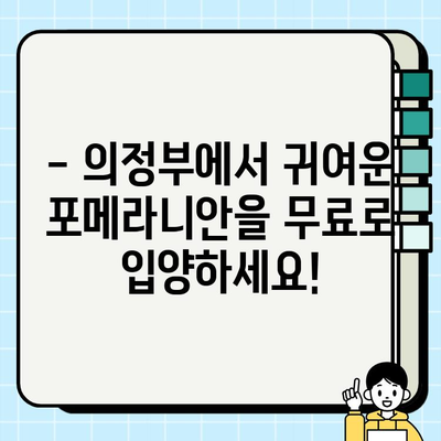 의정부 포메라니안 무료분양 기회| 귀여운 댕댕이 가족 맞이하세요! | 포메라니안 분양, 의정부 애견샵, 강아지 무료 분양