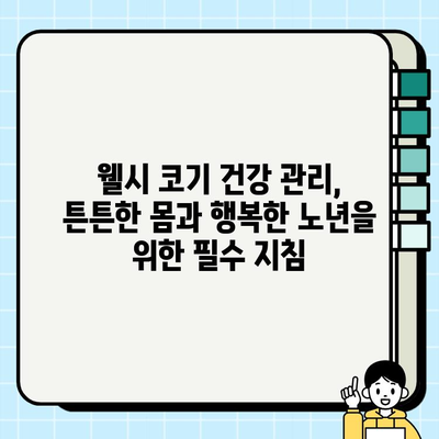 웰시 코기 매력에 푹 빠지다! 작은 몸집에 담긴 놀라운 매력 탐구 | 웰시 코기, 성격, 특징, 분양, 건강, 관리