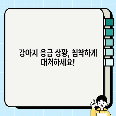 강아지 응급 상황, 당황하지 마세요! | 비상 상황 대처법과 응급 처치 가이드