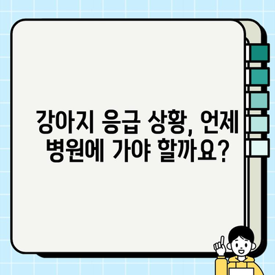 강아지 응급 상황, 당황하지 마세요! | 비상 상황 대처법과 응급 처치 가이드