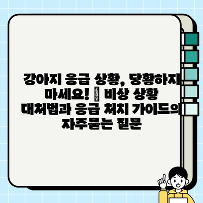 강아지 응급 상황, 당황하지 마세요! | 비상 상황 대처법과 응급 처치 가이드