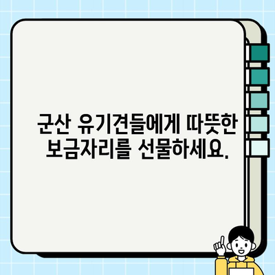 군산에서 무료 분양 받고 강아지와 새로운 삶을 시작하세요! | 군산 강아지 무료 분양, 입양, 유기견