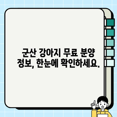 군산에서 무료 분양 받고 강아지와 새로운 삶을 시작하세요! | 군산 강아지 무료 분양, 입양, 유기견