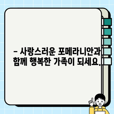 의정부 포메라니안 무료분양 기회| 귀여운 댕댕이 가족 맞이하세요! | 포메라니안 분양, 의정부 애견샵, 강아지 무료 분양