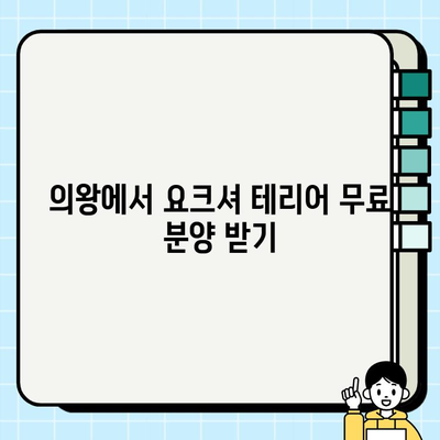 의왕에서 만나볼 수 있는 깜찍한 요크셔 테리어 무료 분양 정보 | 요크셔 테리어, 무료 분양, 의왕, 강아지