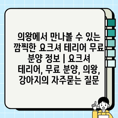 의왕에서 만나볼 수 있는 깜찍한 요크셔 테리어 무료 분양 정보 | 요크셔 테리어, 무료 분양, 의왕, 강아지