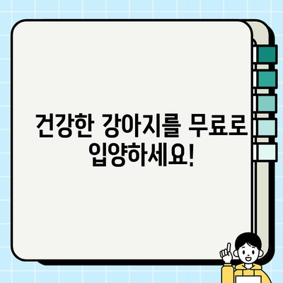 책임감 있는 반려 생활, 무료 분양으로 시작하세요| 건강한 강아지 무료 분양 정보 | 강아지 입양, 책임감, 무료 분양, 유기견