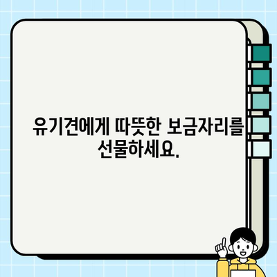 책임감 있는 반려 생활, 무료 분양으로 시작하세요| 건강한 강아지 무료 분양 정보 | 강아지 입양, 책임감, 무료 분양, 유기견