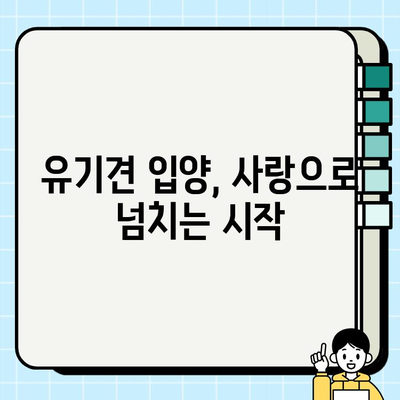 강아지 무료분양 또는 유기견 입양 전 꼭 확인해야 할 7가지 체크사항 | 입양 전 필수 확인, 유기견 입양, 강아지 무료분양