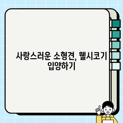 웰시코기 무료 분양| 사랑스러운 소형견, 웰시코기 입양하기 | 웰시코기 분양, 무료 분양, 소형견 입양