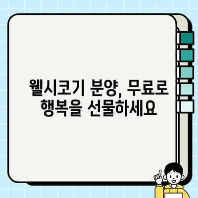 웰시코기 무료 분양| 사랑스러운 소형견, 웰시코기 입양하기 | 웰시코기 분양, 무료 분양, 소형견 입양