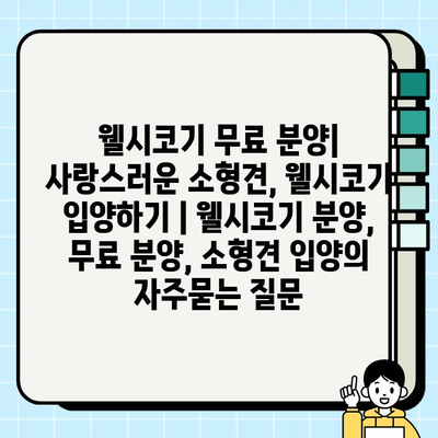 웰시코기 무료 분양| 사랑스러운 소형견, 웰시코기 입양하기 | 웰시코기 분양, 무료 분양, 소형견 입양