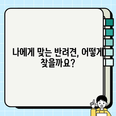 책임감 있는 강아지 분양, 행복한 동반자를 맞이하는 첫걸음 | 반려견 입양, 책임감 있는 분양, 행복한 동거
