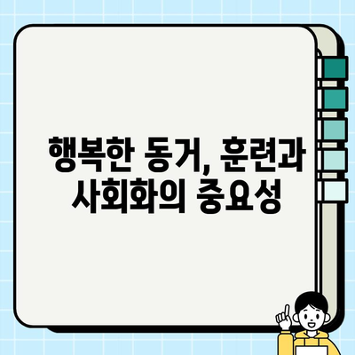 책임감 있는 강아지 분양, 행복한 동반자를 맞이하는 첫걸음 | 반려견 입양, 책임감 있는 분양, 행복한 동거