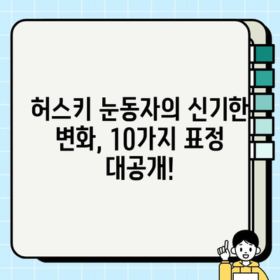 허스키의 