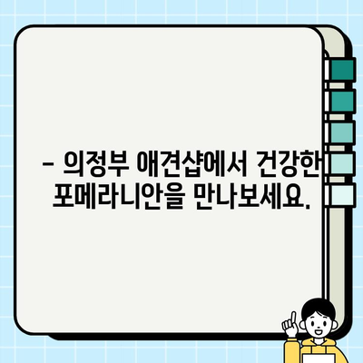 의정부 포메라니안 무료분양 기회| 귀여운 댕댕이 가족 맞이하세요! | 포메라니안 분양, 의정부 애견샵, 강아지 무료 분양