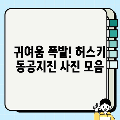허스키의 