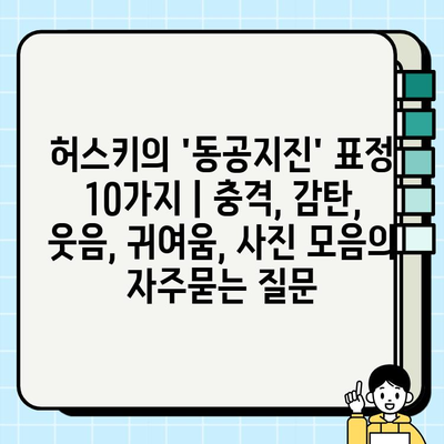 허스키의 