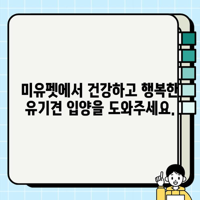 울산 강아지 무료 분양, 미유펫에서 따뜻한 가족을 만나세요! | 울산 강아지 입양, 유기견 보호, 미유펫 봉사활동