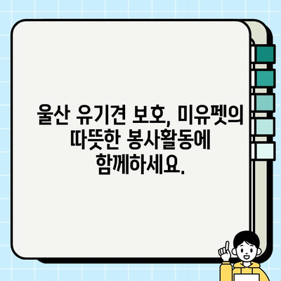 울산 강아지 무료 분양, 미유펫에서 따뜻한 가족을 만나세요! | 울산 강아지 입양, 유기견 보호, 미유펫 봉사활동