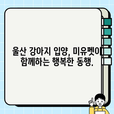 울산 강아지 무료 분양, 미유펫에서 따뜻한 가족을 만나세요! | 울산 강아지 입양, 유기견 보호, 미유펫 봉사활동