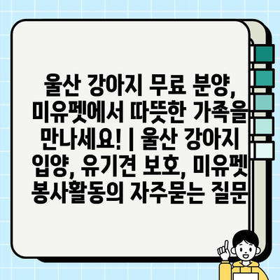 울산 강아지 무료 분양, 미유펫에서 따뜻한 가족을 만나세요! | 울산 강아지 입양, 유기견 보호, 미유펫 봉사활동