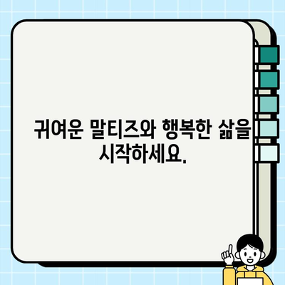 원주 귀염뽀짝 말티즈 무료 분양| 사랑스러운 반려견을 만나보세요! | 원주, 말티즈, 무료 분양, 강아지, 입양