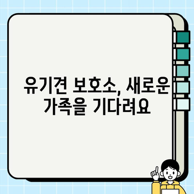 강아지 무료 분양 & 유기견 입양| 책임비, 양육비 고려 가이드 | 입양 전 필수 체크리스트, 유기견 보호소 정보