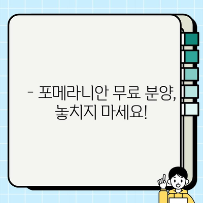 의정부 포메라니안 무료분양 기회| 귀여운 댕댕이 가족 맞이하세요! | 포메라니안 분양, 의정부 애견샵, 강아지 무료 분양