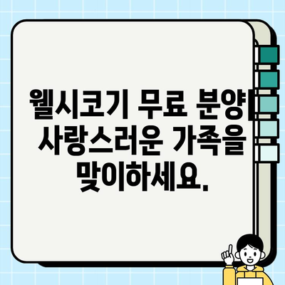 웰시코기 무료 분양| 작은 체구에 담긴 큰 매력, 당신의 가족이 되세요! | 웰시코기 분양, 무료 분양, 강아지 입양, 귀여운 강아지, 반려견