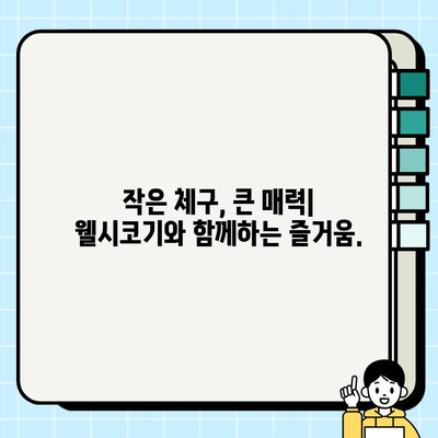 웰시코기 무료 분양| 작은 체구에 담긴 큰 매력, 당신의 가족이 되세요! | 웰시코기 분양, 무료 분양, 강아지 입양, 귀여운 강아지, 반려견
