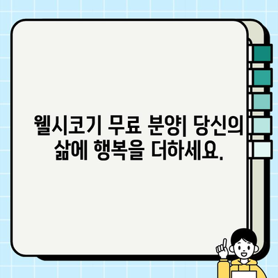 웰시코기 무료 분양| 작은 체구에 담긴 큰 매력, 당신의 가족이 되세요! | 웰시코기 분양, 무료 분양, 강아지 입양, 귀여운 강아지, 반려견