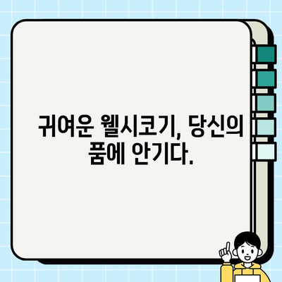 웰시코기 무료 분양| 작은 체구에 담긴 큰 매력, 당신의 가족이 되세요! | 웰시코기 분양, 무료 분양, 강아지 입양, 귀여운 강아지, 반려견