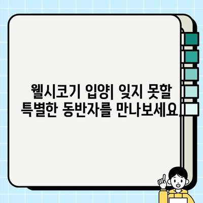 웰시코기 무료 분양| 작은 체구에 담긴 큰 매력, 당신의 가족이 되세요! | 웰시코기 분양, 무료 분양, 강아지 입양, 귀여운 강아지, 반려견