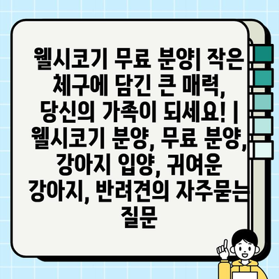 웰시코기 무료 분양| 작은 체구에 담긴 큰 매력, 당신의 가족이 되세요! | 웰시코기 분양, 무료 분양, 강아지 입양, 귀여운 강아지, 반려견