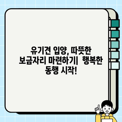 강아지 무료 분양 또는 유기견 무료 분양 전 꼭 확인해야 할 7가지 체크리스트 | 입양 전 필수 확인 사항, 유기견 입양, 강아지 분양