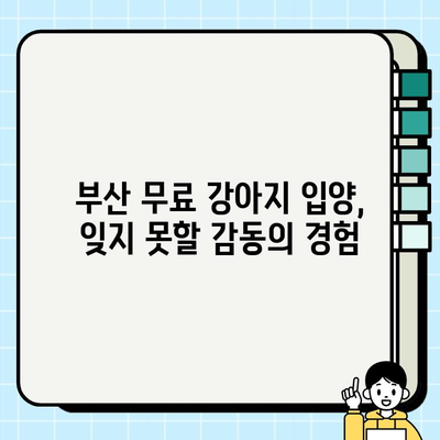 부산에서 무료 강아지 입양, 제가 겪은 특별한 경험 | 부산 강아지 입양, 무료 입양 후기, 유기견 입양