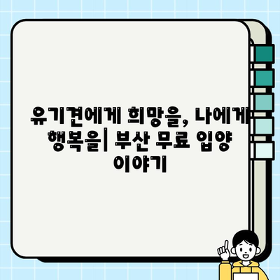 부산에서 무료 강아지 입양, 제가 겪은 특별한 경험 | 부산 강아지 입양, 무료 입양 후기, 유기견 입양
