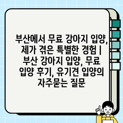 부산에서 무료 강아지 입양, 제가 겪은 특별한 경험 | 부산 강아지 입양, 무료 입양 후기, 유기견 입양